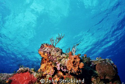 cozumel 15mm nikonos clouds by John Strickland 